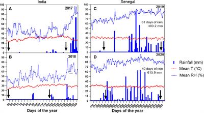 Higher sowing density of pearl millet increases productivity and water use efficiency in high evaporative demand seasons